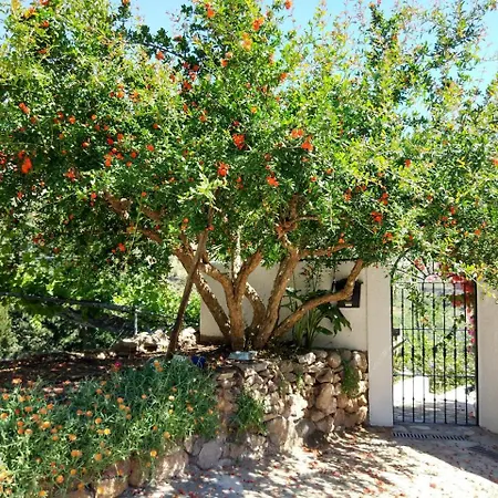 Casa Florida