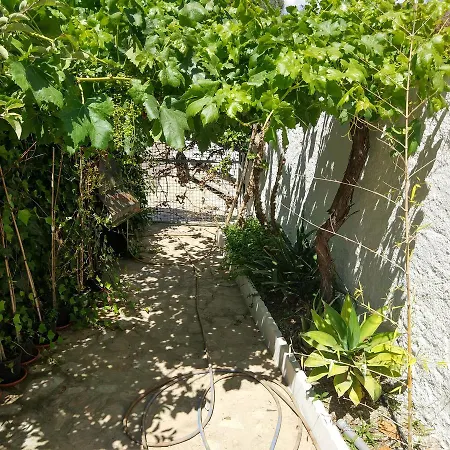 Casa Florida Berja